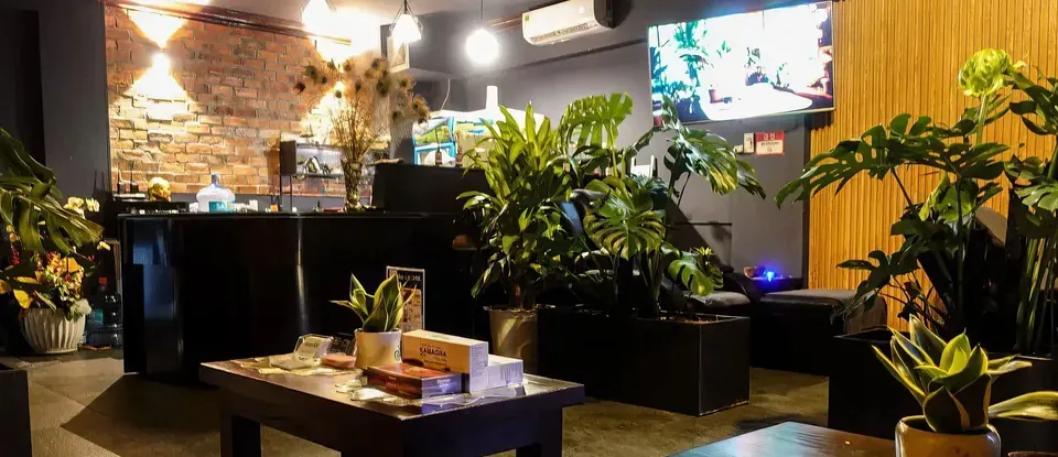 舒適的 沙發與 設有植物的 Durian SPA的 大廳