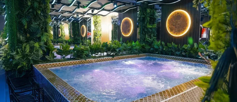 植物以 華麗的 室內 按摩浴缸